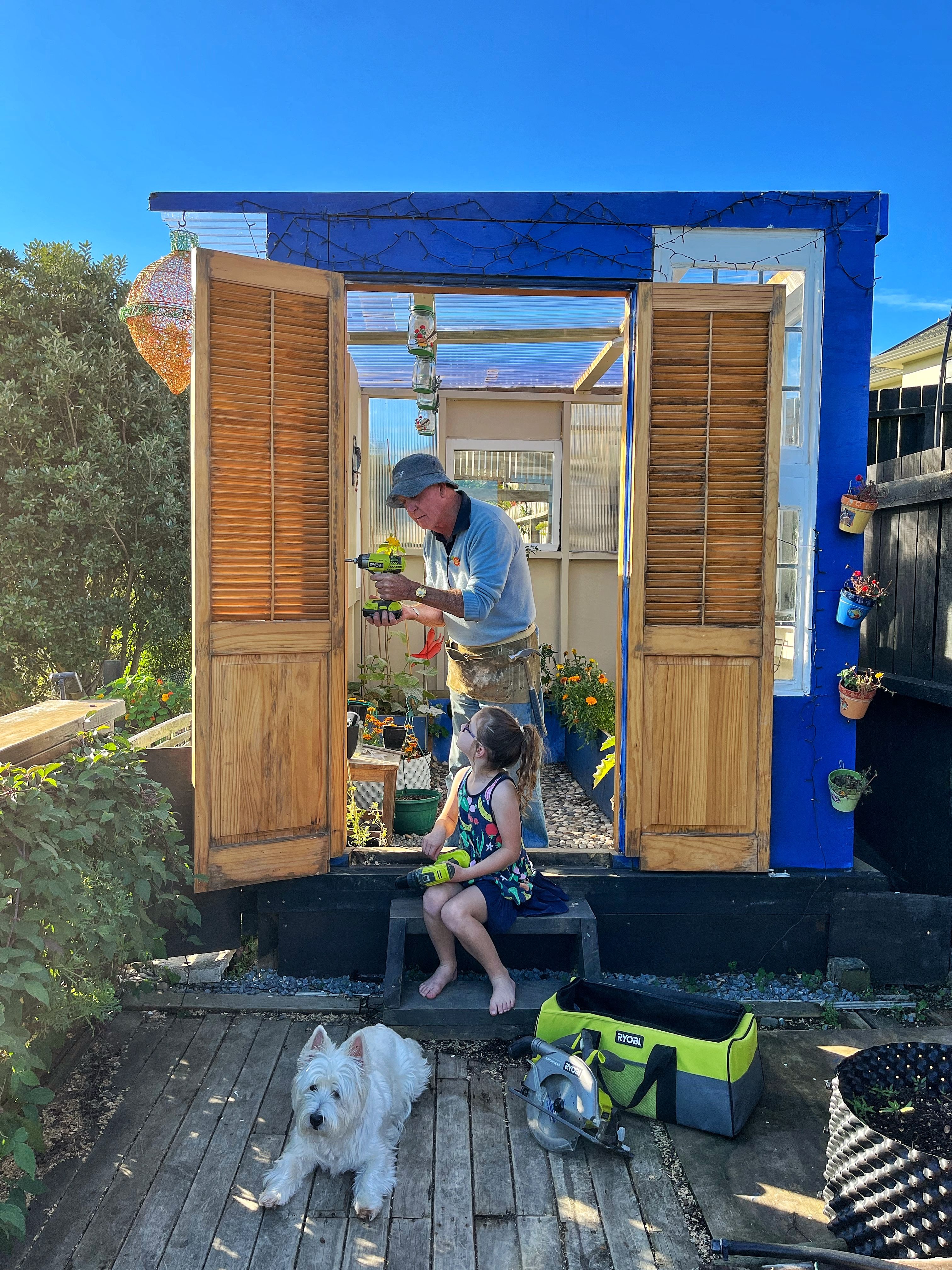 Using my Ryobi 'toys' to put build my daughter's glasshouse, built from upcycled house windows.... Granddaughter, Maisie eager to learn and be the apprentice! 