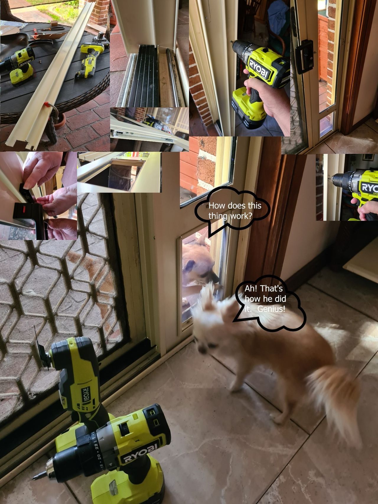 Well I watched them cut, drill, put many screws in, move locks and didn't know what they were doing.  But guess what, We are freeee!!  Thanks Ryobi!!  PS Mum and Dad love the bonus of less mess in the house.  WOOT!  Think these tools are now called....  Win Win.  Dusty & Maizie